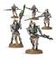 Triarch Praetorians / Lychguard